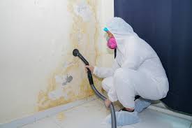 Best Asbestos and Lead Testing During Mold Inspection  in North Lakeport, CA